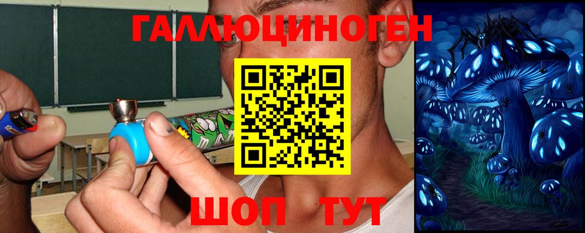 Галлюциногенные грибы мицелий Усинск
