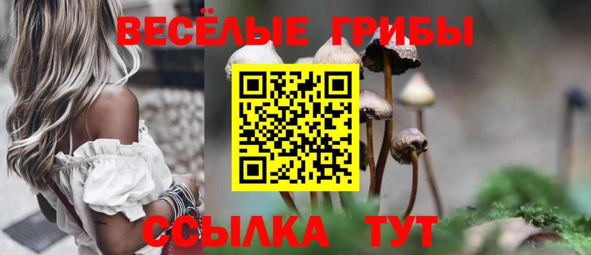 Усинск  Псилоцибиновые грибы Magic Shrooms  Псилоцибиновые грибы мухоморы  Вход с VPN 
